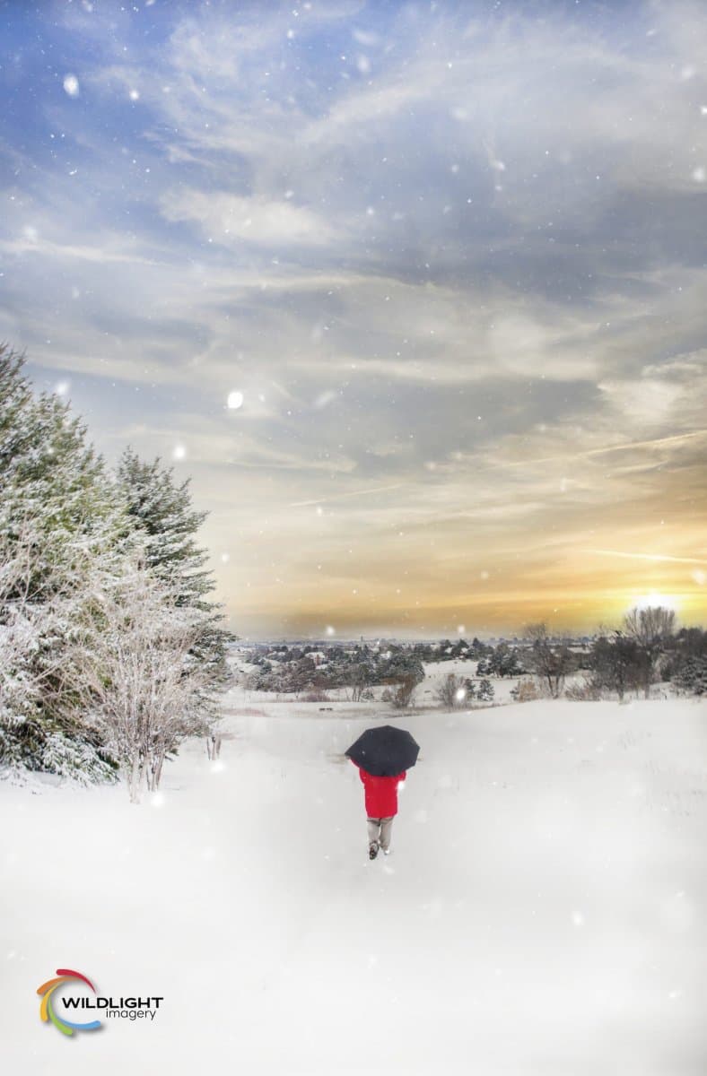 Walking Out the Storm