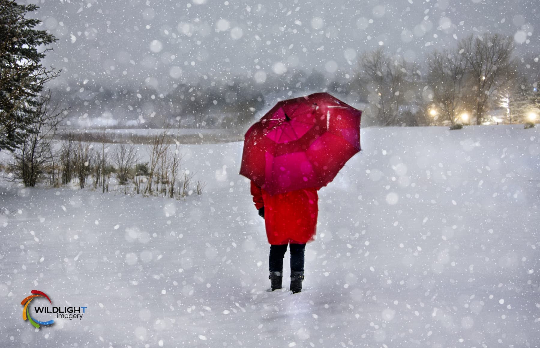 Red Coat, Open Field